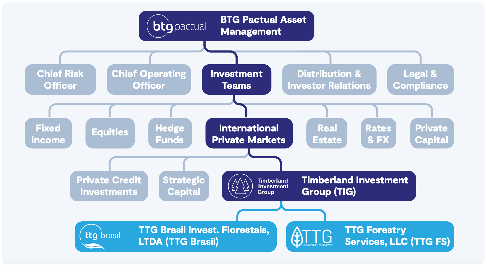 TIG Org Structure 2024 - Impact Report