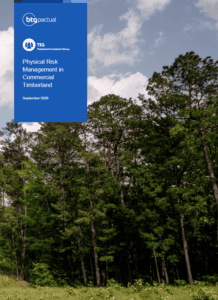 Physical Risk Management in Commercial Timberland September 2026